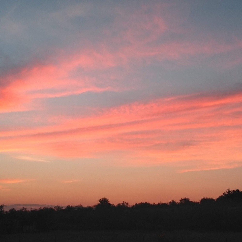 Meet your Posher, Nena